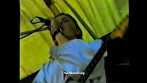 The Kelly Family - WHEN THE LAST TREE -