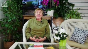 Почему не плодоносит слива? ? Какие типы сливы опыляются между собой? ? Обзор hitsadTV