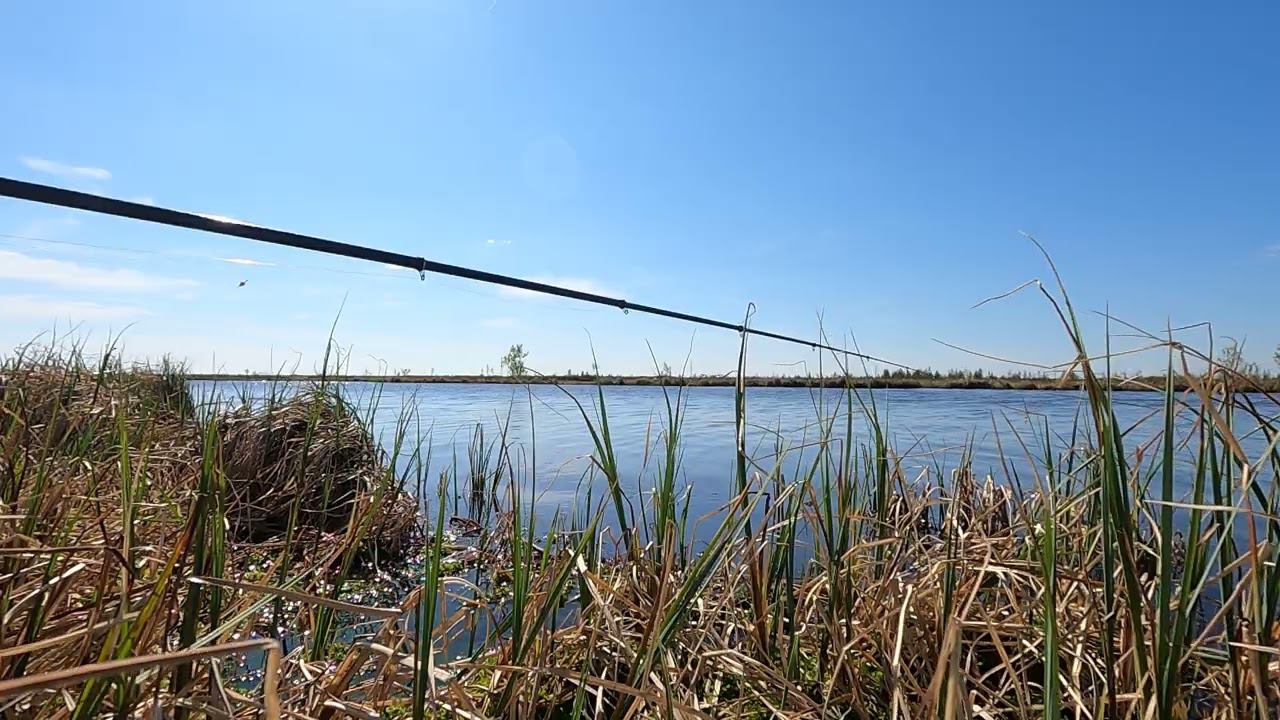 Новогоднее месторождение. ЯНАО.