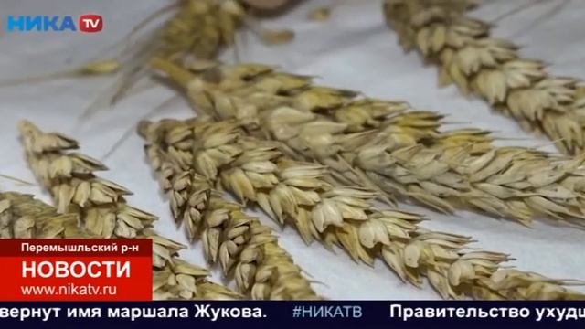 Калужская аграрная наука уже сто лет внедряет в сельском хозяйстве результаты передовых разработок