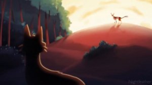 Что портит Фандом Котов Воителей ?