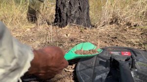 Minelab GPZ 7000 with the Nugget Finder Zsearch Coil and the ZX headphones.