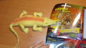 КРОКОДИЛЫ & Ко МАКСИ. БОЛОТНЫЙ КРОКОДИЛ. *DeAGOSTINI*