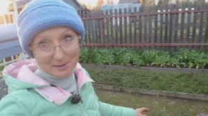 Видео привет с 6 соток 13 октября 2023 года