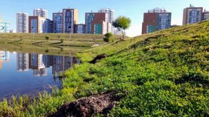 (30.07.22) Преображенский парк _ район Академический часть 2