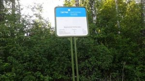 Возле родника рядом  санатория Иволга г. Бавлы Татарстан