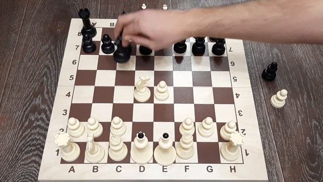 Сборник шахматных ловушек в разных дебютах
