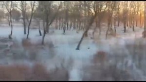 Адлер-Воркута поезд 310