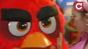 Как Евгений Кошевой и Соня Плакидюк озвучивали "Angry birds в кино 2"