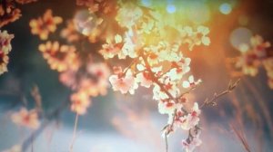 Медитация на соединение внутреннего мужчины и внутренней женщины