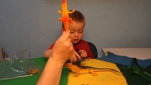 Распаковка набора  насекомых  и земноводных ! Игра для детей .