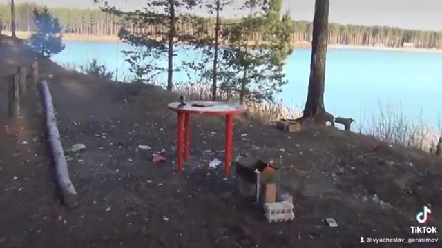 Помело разорвало на части, но похавать что-то осталось))) смотреть онлайн