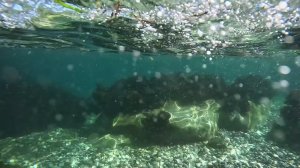 ▶️  Под водой жизнь чище