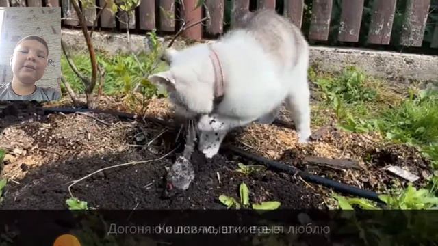 Смотрим клип Анука-Давайка (Официальный клип)