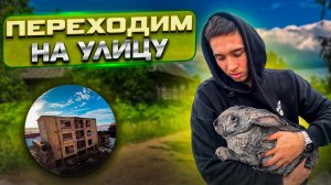 ВЕСНА НА УЛИЦЕ/ПОРА ПЕРЕХОДИТЬ НА УЛИЦУ/ОЧЕРЕДНЫЕ ОКРОЛЫ
