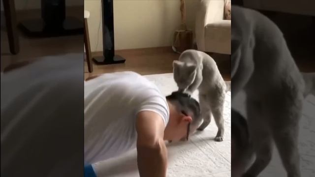 Кожаный мешок, ни на что не способен. Делай раз!⁠⁠ ?