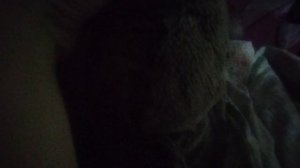 БАСИК ЗАГОВОРИЛ ???? Очередная серия ч гришей.