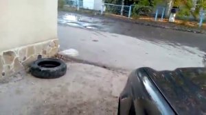 Mercedes-Benz E-420 CDI, W211, 2007