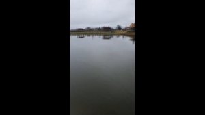 ВПЕРВЫЕ РЫБАЛКА НА АРКТИЧЕСКОГО ГОЛЬЦА В ПОДМОСКОВЬЕ