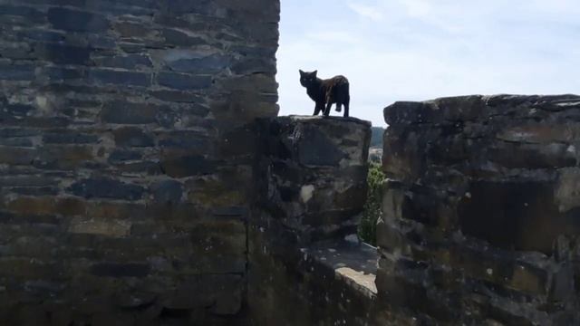 Серта. Город рыцарей-госпитальеров и фантастический речной пляж!?♂️ ?? Sertã. смотреть онлайн