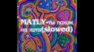 MATLY-ты похож на кота(slowed)