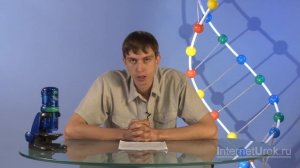 Формы борьбы за существование. Видеоурок по биологии 11 класс