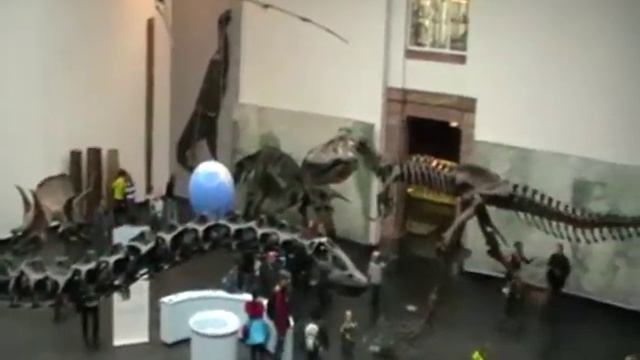 Зенкенбергский музей Динозал сверху. смотреть онлайн