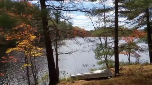 RICHARD CLAYDERMAN, Música para Enamorados - Melodias Inolvidables, RELAX смотреть онлайн