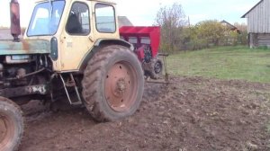 Посадка чеснока || 3 ИЗ 3