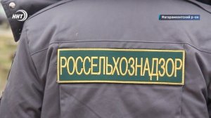 В Дагестане Россельхознадзор обнаружил около 73 тонн зараженных овощей и фруктов