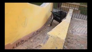 моё первое интро