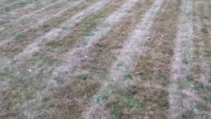 Быстрая уборка листьев с газона с помощью газонокосилки