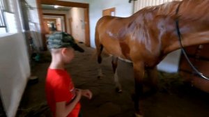 Страусиная ферма - Видео про животных для детей.