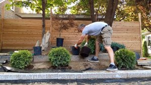 Богатый дом - японский сад