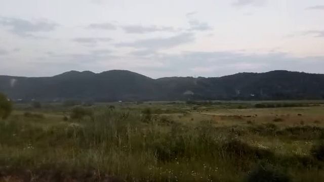 предгорье Кавказа, звук (цикады и шакалы)