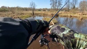 СЕЗОН по ЩУКЕ открыт! Ловля ЩУКИ после нереста на МАЛОЙ РЕКЕ! Рыбалка на СПИННИНГ весной!