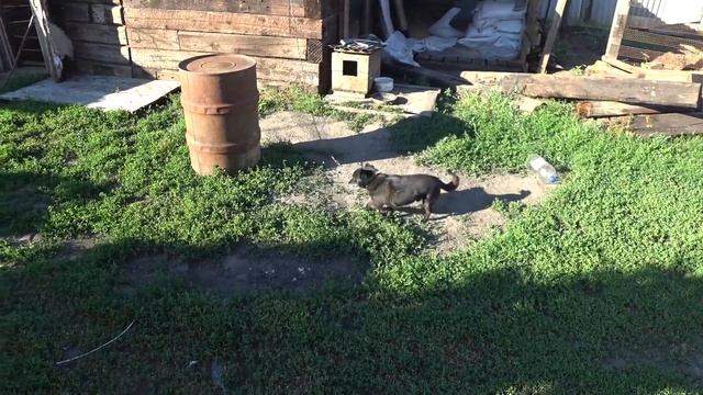 ЗАСТЕЛИЛИ ПОЛ В ПЕРВОЙ КЛЕТКЕ смотреть онлайн