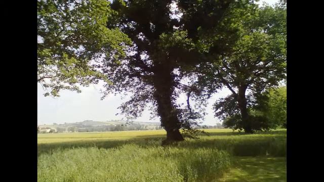 Mieczyslaw Weinberg - sonata per violino n. 5 op. 53- I° mov. Andante con moto смотреть онлайн