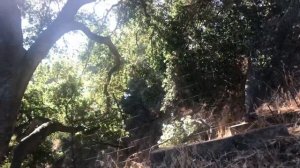 Обзор дома в Сан Франциско | Путешествие #2