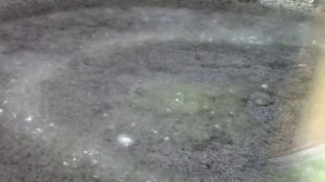 Курица в соусе терияки с грибами