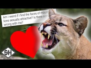 /r/Relationship_Advice [Ft. CallMeCarson]