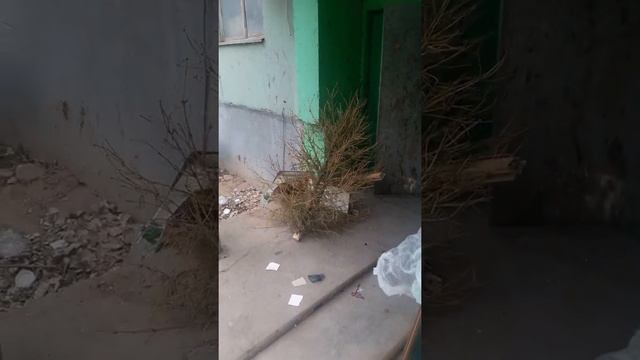 Когда Жена достала !29 декабря 2019 г. смотреть онлайн