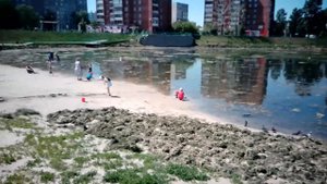 Очистка пруда. От травы и водорослей.