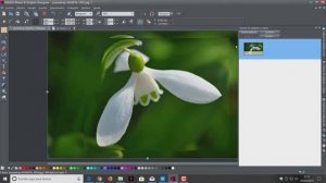 CURSO DE MAGIX PHOTO & GRAPHIC DESIGNER 2019   02 CONTROLES BÁSICOS Y HERRAMIENTAS DE SELECCIÓN