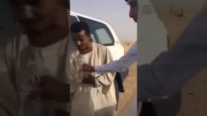 Караванщик Али