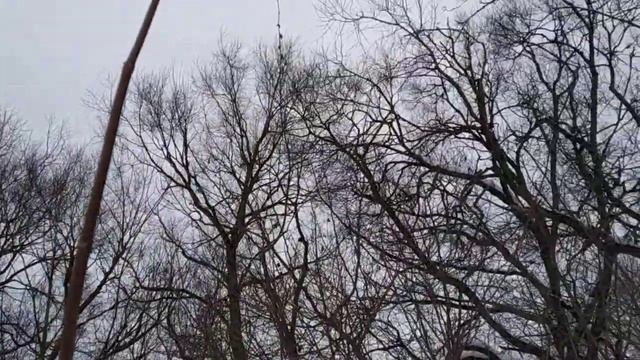 ярусная обрезка гортензии ( продолжение) смотреть онлайн