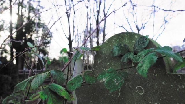 Дары, откупы и закупы на кладбище для мертвых, Хозяина и Хозяйки , для Богов. Кладбищенская магия смотреть онлайн