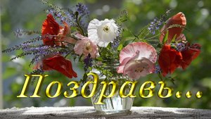 Поздравить женщину | Поздравить девушку | С праздником !