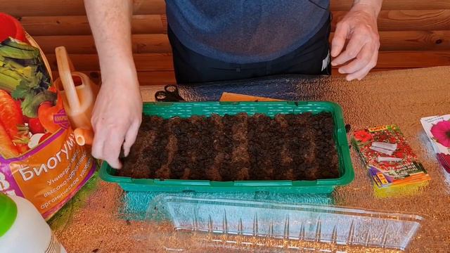 Самый простой способ посева петунии смотреть онлайн