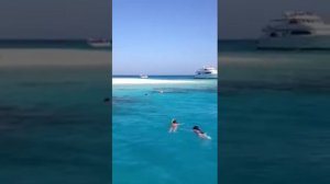 Белый остров Хамата, рифы, Красное море